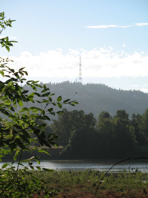 7.27.06 Oaks Bottom 019 